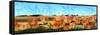 Painted Sky Panorama-Tina Lavoie-Framed Stretched Canvas