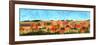 Painted Sky Panorama-Tina Lavoie-Framed Giclee Print