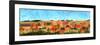 Painted Sky Panorama-Tina Lavoie-Framed Giclee Print