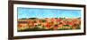 Painted Sky Panorama-Tina Lavoie-Framed Giclee Print