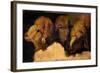 Painted Study of Sheep Heads-Francesco Londonio-Framed Art Print