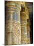 Painted Sunken Relief Carving Adorns Columns in the Mortuary Temple of Ramses Iii on the West Bank -Julian Love-Mounted Photographic Print
