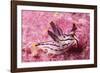 Painted Thecaera-Hal Beral-Framed Photographic Print