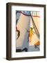 Painted Tipi at North American Indian Days in Browning, Montana, USA-Chuck Haney-Framed Photographic Print