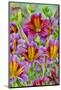 Painted tongue flowers in purple and gold-Darrell Gulin-Mounted Photographic Print