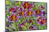 Painted tongue flowers in purple and gold-Darrell Gulin-Mounted Photographic Print