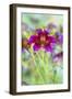 Painted tongue flowers in purple and gold-Darrell Gulin-Framed Photographic Print