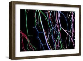 Painted Tree Branches-pea1-Framed Art Print