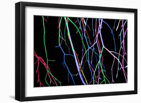 Painted Tree Branches-pea1-Framed Art Print