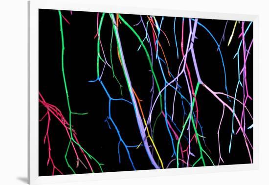 Painted Tree Branches-pea1-Framed Art Print