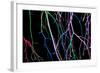 Painted Tree Branches-pea1-Framed Art Print