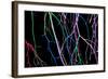 Painted Tree Branches-pea1-Framed Art Print