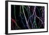 Painted Tree Branches-pea1-Framed Art Print