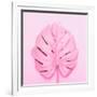 Painted Tropical Palm Leaf of Monstera-Katya Havok-Framed Photographic Print