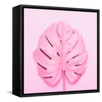 Painted Tropical Palm Leaf of Monstera-Katya Havok-Framed Stretched Canvas