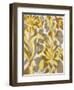 Painted Tropical Screen I-Silvia Vassileva-Framed Art Print