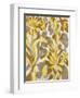 Painted Tropical Screen I-Silvia Vassileva-Framed Art Print