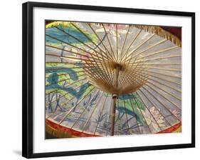 Painted Umbrellas at the Loa Fire Rocket Festival, Seattle, Washington, USA-Merrill Images-Framed Photographic Print