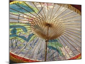 Painted Umbrellas at the Loa Fire Rocket Festival, Seattle, Washington, USA-Merrill Images-Mounted Photographic Print