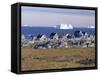 Painted Village Houses in Front of Icebergs in Disko Bay, West Coast, Greenland-Anthony Waltham-Framed Stretched Canvas