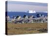 Painted Village Houses in Front of Icebergs in Disko Bay, West Coast, Greenland-Anthony Waltham-Stretched Canvas