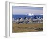 Painted Village Houses in Front of Icebergs in Disko Bay, West Coast, Greenland-Anthony Waltham-Framed Photographic Print