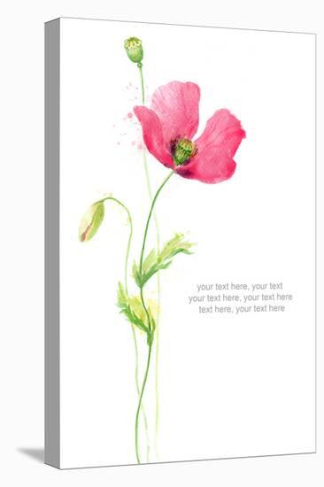 Painted Watercolor Card with Poppy and Text-lozas-Stretched Canvas