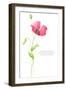 Painted Watercolor Card with Poppy and Text-lozas-Framed Photographic Print
