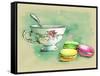 Painted Watercolor French Dessert Macaroons and a Cup of Tea-lozas-Framed Stretched Canvas