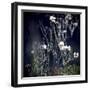 Painted With Light-Incredi-Framed Giclee Print