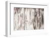 Painted Wood Background-oksix-Framed Photographic Print