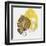 Painted Yellow I-PI Studio-Framed Art Print