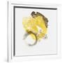 Painted Yellow II-PI Studio-Framed Art Print