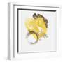 Painted Yellow II-PI Studio-Framed Art Print