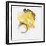 Painted Yellow II-PI Studio-Framed Art Print