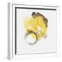 Painted Yellow II-PI Studio-Framed Art Print