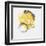 Painted Yellow II-PI Studio-Framed Art Print