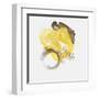 Painted Yellow II-PI Studio-Framed Art Print