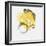 Painted Yellow II-PI Studio-Framed Art Print