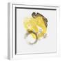 Painted Yellow II-PI Studio-Framed Art Print