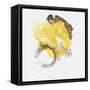 Painted Yellow II-PI Studio-Framed Stretched Canvas