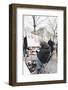 Painter at the Art Market at Place Du Tertre, Montmartre, Paris, Ile De France, France, Europe-Markus Lange-Framed Photographic Print