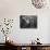 Painter Brion Gysin, Shown W His Paintings in Hotel Room in with Writer William S. Burroughs-Loomis Dean-Photographic Print displayed on a wall