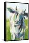 Painterly Cow II-Grace Popp-Framed Stretched Canvas