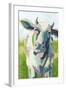 Painterly Cow II-Grace Popp-Framed Art Print