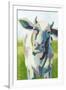 Painterly Cow II-Grace Popp-Framed Art Print