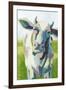 Painterly Cow II-Grace Popp-Framed Art Print