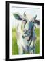 Painterly Cow II-Grace Popp-Framed Art Print