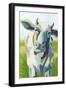 Painterly Cow II-Grace Popp-Framed Art Print