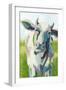 Painterly Cow II-Grace Popp-Framed Art Print